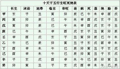 身強 八字|四柱八字「身弱」與「身強」詳解